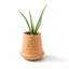 Modern Sprout Glazed Terracotta Grow Kit, Aloe Laser Engraving - Terracotta - View 1