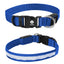Rechargeable Pet Collar That Lights Up, Medium - Royal Blue - Pad Print