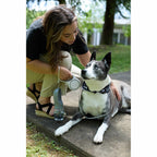 AquaPup Dog Water Bottle with Built-In Bowl, 10 oz - Gray - Detail