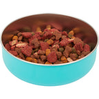 AquaPup Stainless Steel Pet Bowl, 32 oz Laser Engraving - Turquoise - Detail