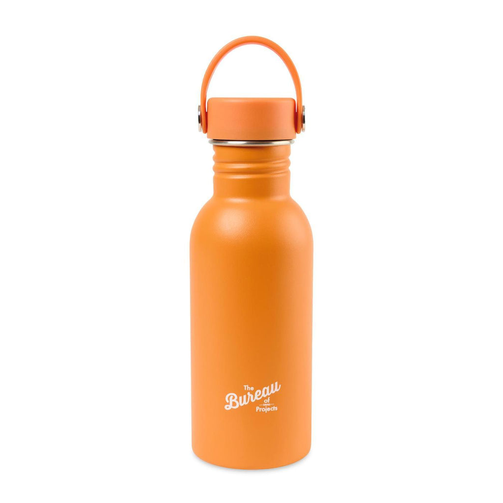 Arlo Classics Stainless Steel Water Bottle, 17 oz Full Color - Carrot Curl - View 1