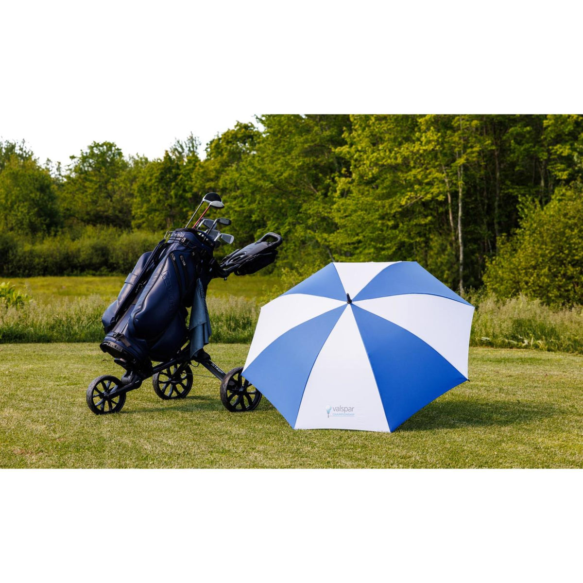 Auto Open Golf Umbrella in Recycled PET, 60 Inches Transfer - Royal-White - View 10