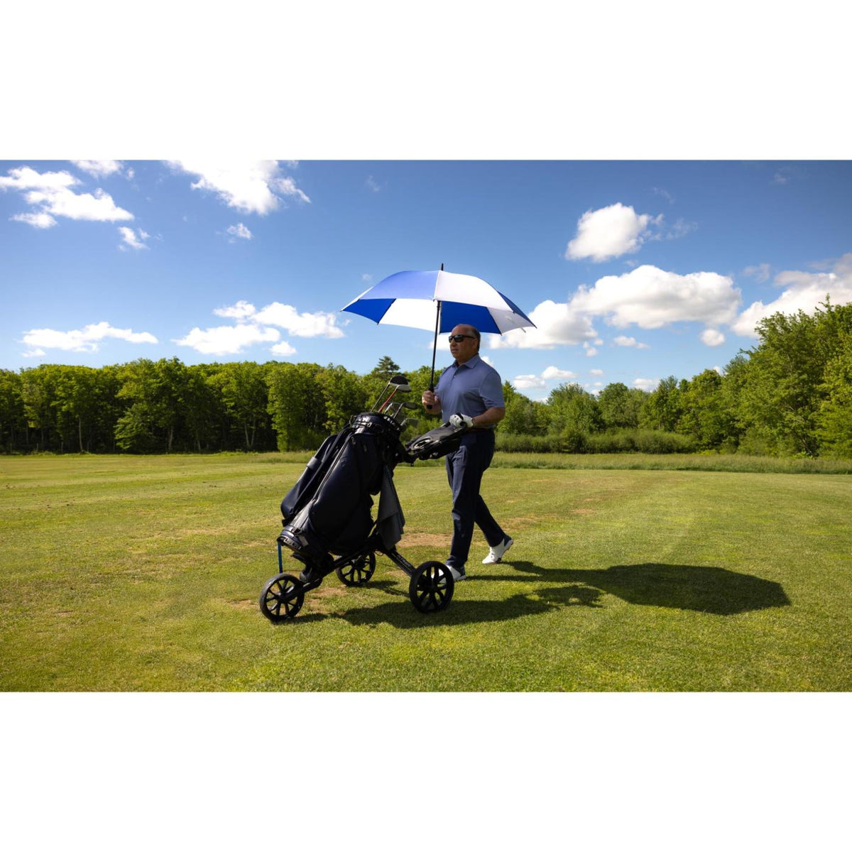 Auto Open Golf Umbrella in Recycled PET, 60 Inches Transfer - Royal-White - View 5