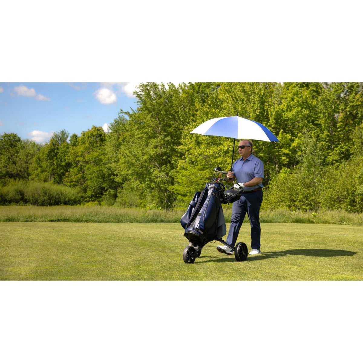 Auto Open Golf Umbrella in Recycled PET, 60 Inches Transfer - Royal-White - View 6