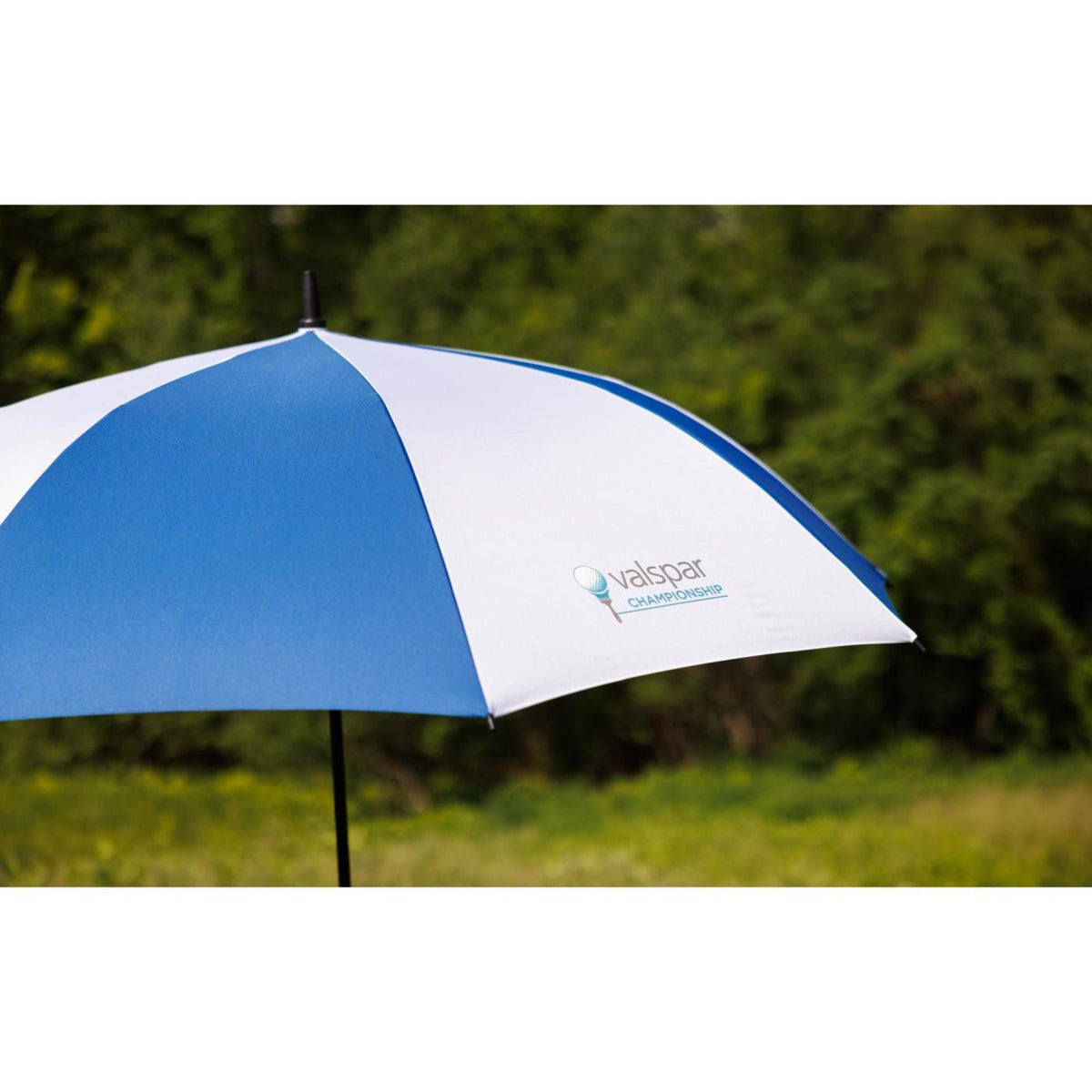 Auto Open Golf Umbrella in Recycled PET, 60 Inches Transfer - Royal-White - View 8