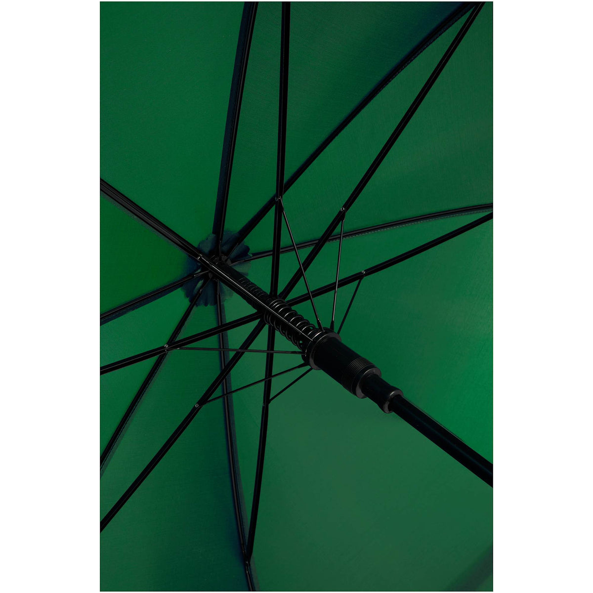 Auto-Open Umbrella, 46 Inch Arc - Green - Canopy Detail
