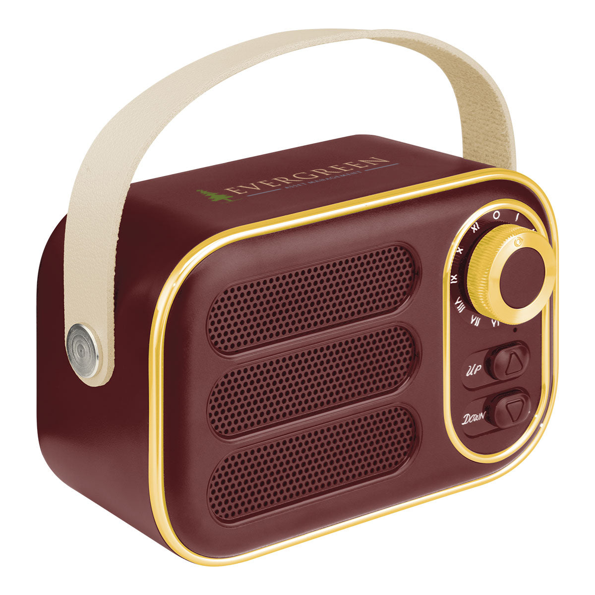 AWS Retro Boom FM Radio and Wireless Speaker Full Color - Full Color