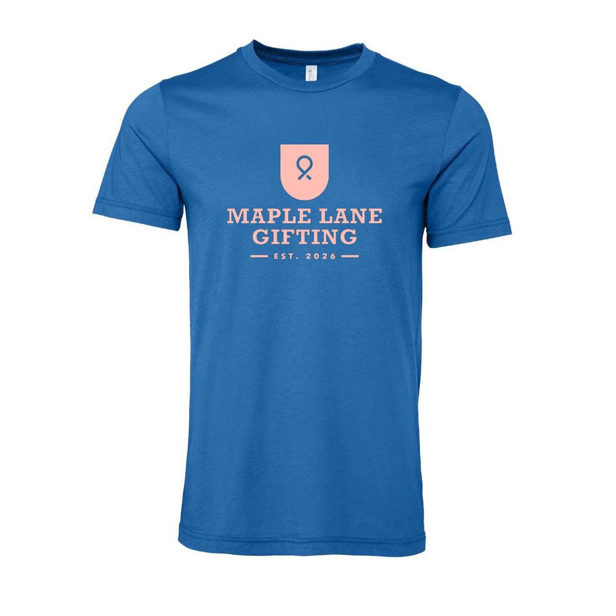 BELLA + CANVAS Unisex Jersey Tee - Columbia Blue - Front