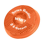 Blinking Light with a Back Clip, Round - Orange - Pad Print