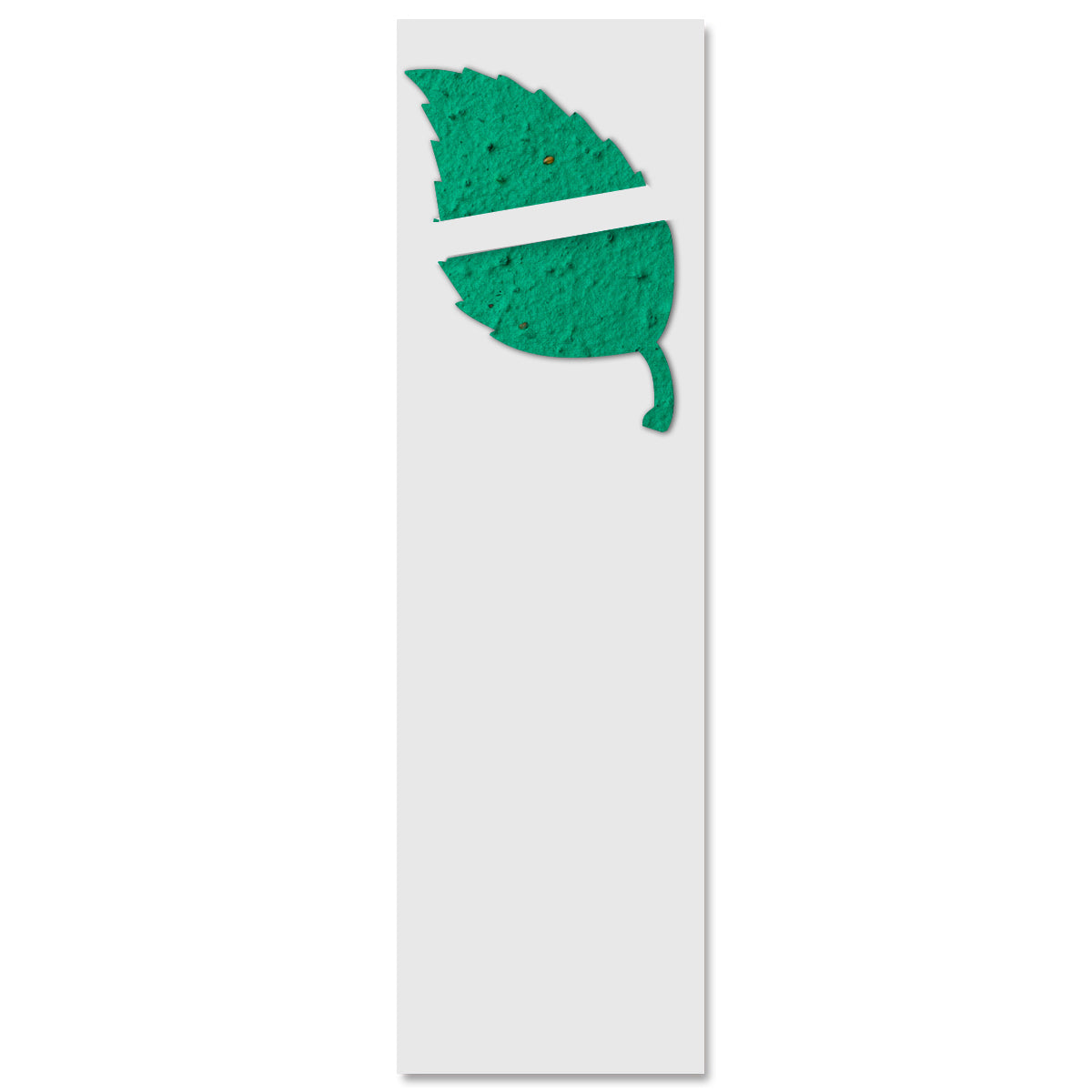 Bloomin Seed Paper and Bookmark - Green - Blank