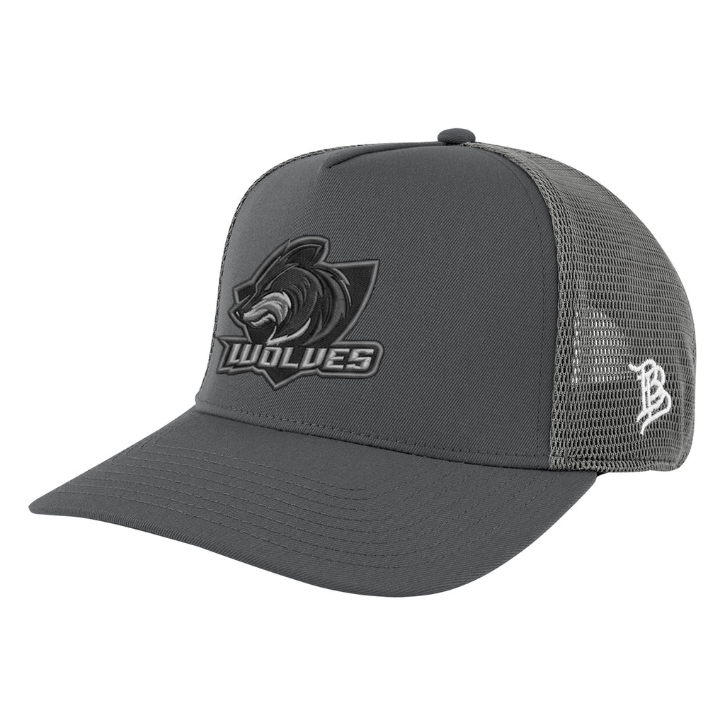Branded Bills 545-02T Trucker Cap, Bare Curved Embroidery - Iron - Embroidery