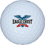 Bridgestone e6 Soft Long Distance Golf Balls, 12 Pack Full Color - White - Front