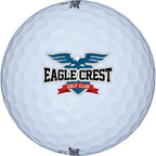 Bridgestone Tour B X Golf Balls for Fast Swing Speeds, 12 Pack Full Color - White - Front