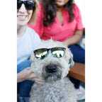 CapeShades Recycled Sunglasses with Bamboo Accents, Black Frame - Green - View 7