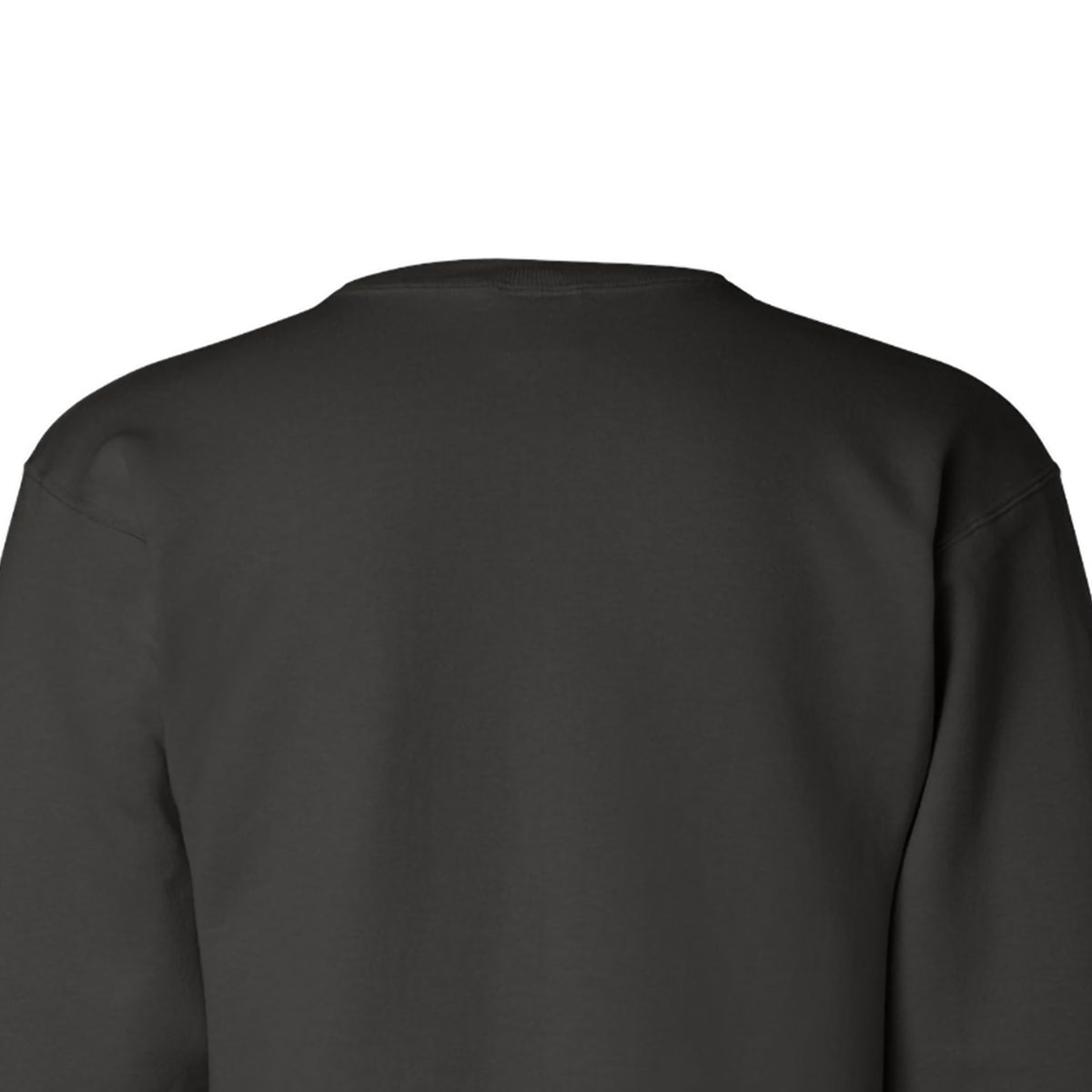 Champion Crewneck Sweatshirt, Double Dry Eco - Black - back_zoom