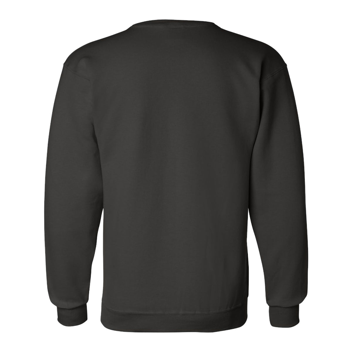 Champion Crewneck Sweatshirt, Double Dry Eco - Black - back