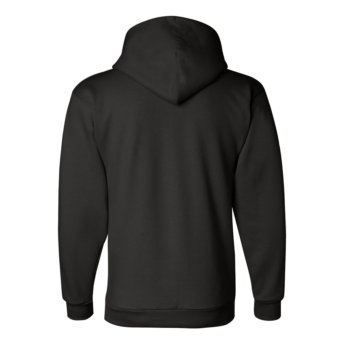 Champion Pullover Hooded Sweatshirt, Double Dry Eco - Black - Back