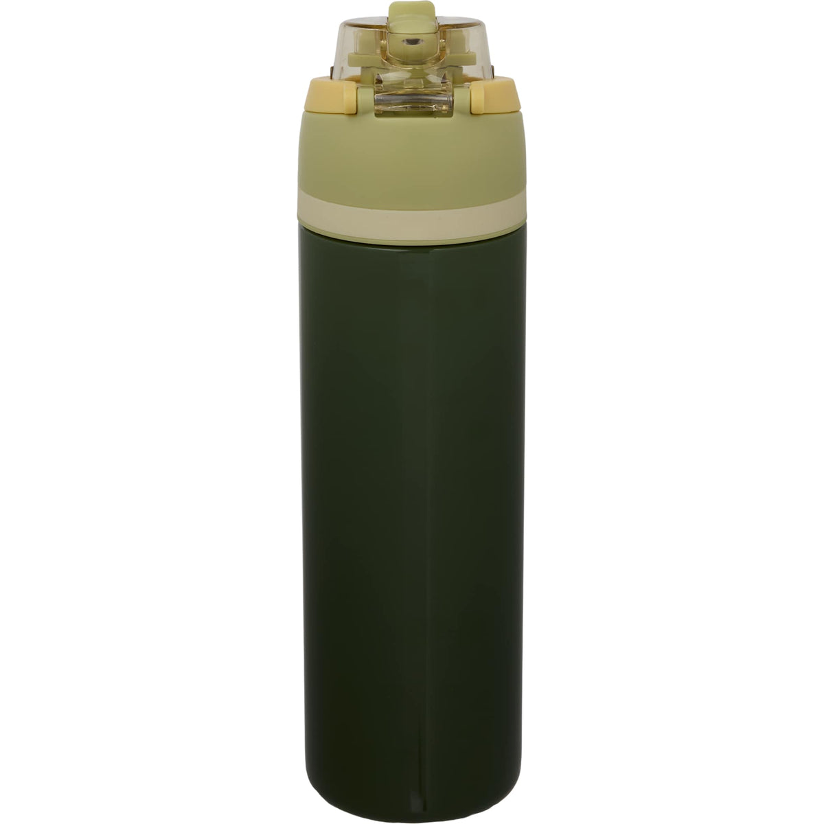 Elvin Recycled Steel Bottle with Flip Straw and Chug Spout, 28 oz - Green - Back