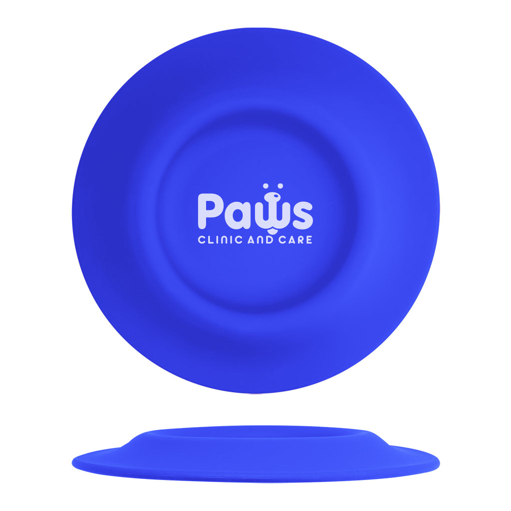 Flying Disc That Doubles as a Pet Bowl - Blue - Silk Screen