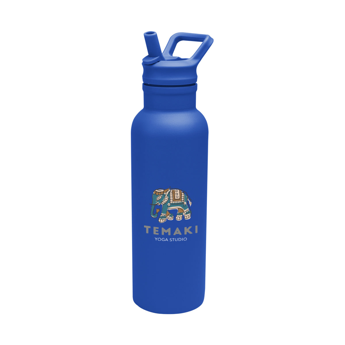 Hailey Recycled Stainless Steel Bottle, 17 oz - Blue - Colorbrite