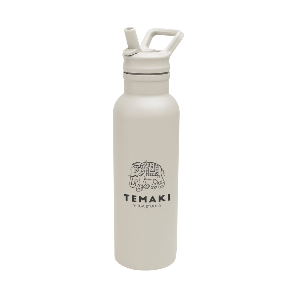 Hailey Recycled Stainless Steel Bottle, 17 oz - Cream - Silk Screen