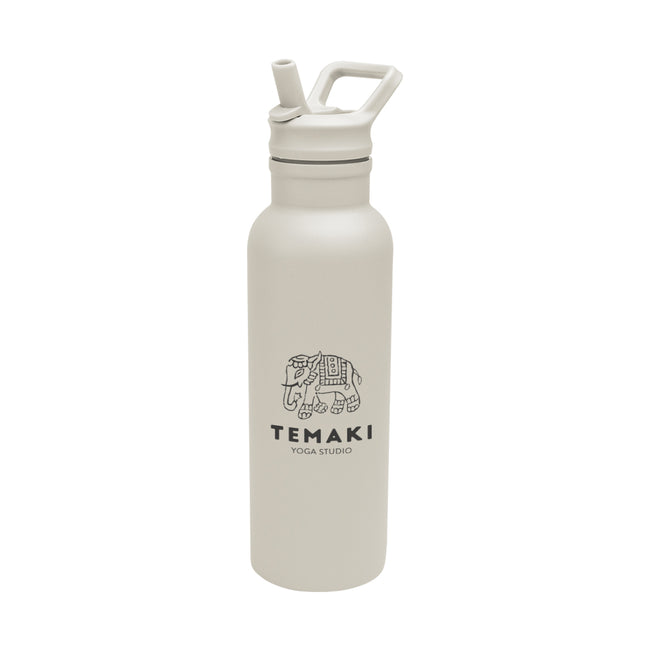 Hailey Recycled Stainless Steel Bottle, 17 oz