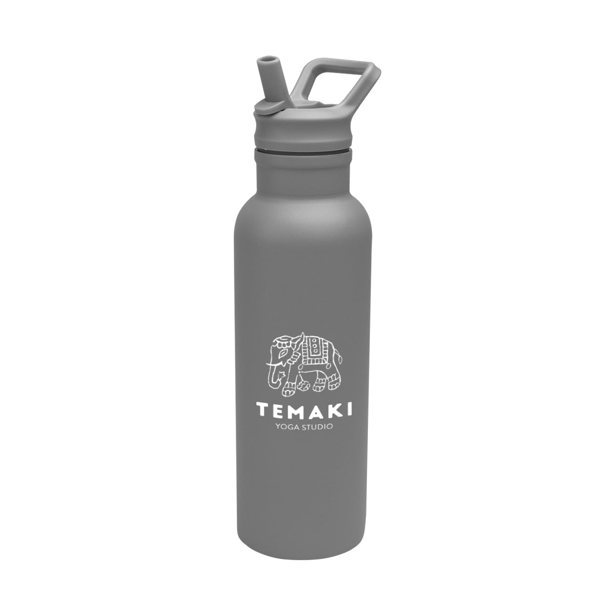 Hailey Recycled Stainless Steel Bottle, 17 oz - Gray - Silk Screen