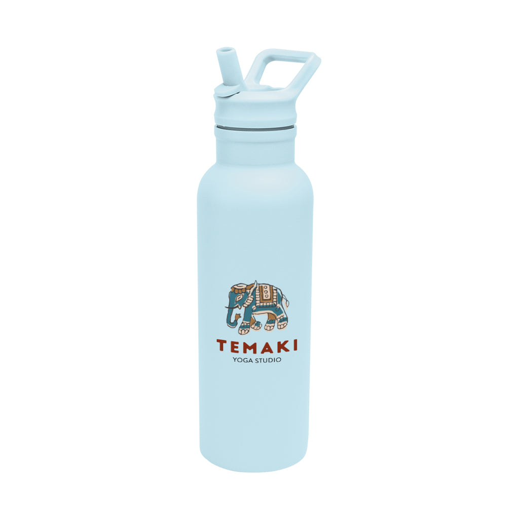 Hailey Recycled Stainless Steel Bottle, 17 oz - Light Blue - Colorbrite