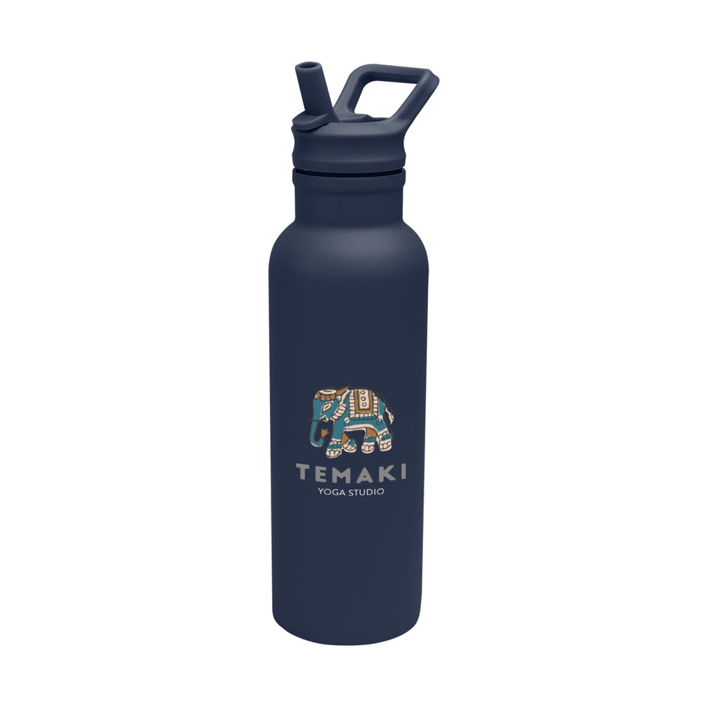 Hailey Recycled Stainless Steel Bottle, 17 oz - Navy - Colorbrite