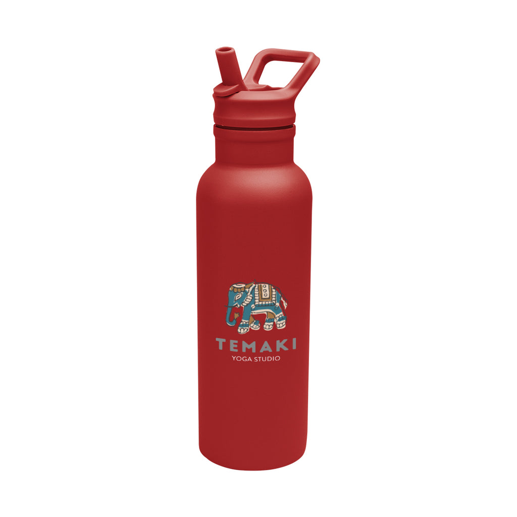 Hailey Recycled Stainless Steel Bottle, 17 oz - Red - Colorbrite