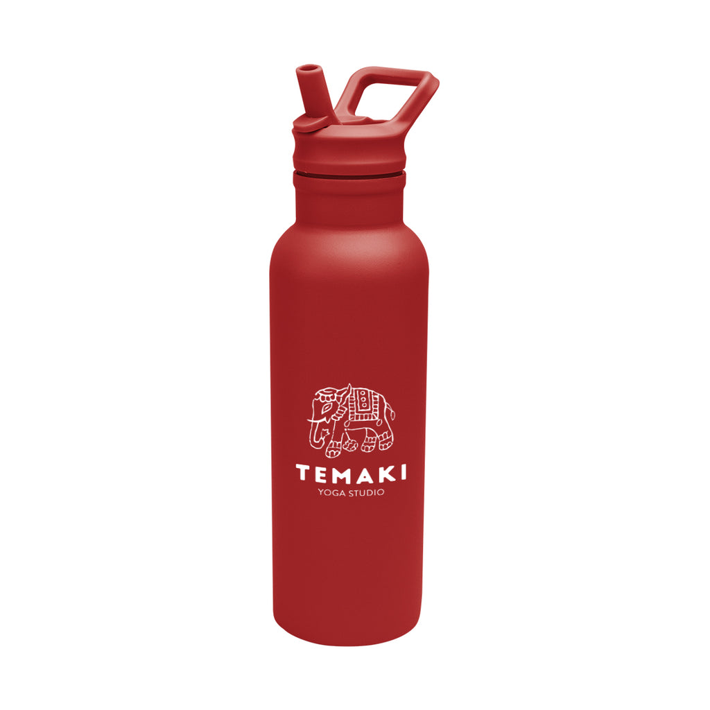 Hailey Recycled Stainless Steel Bottle, 17 oz - Red - Silk Screen