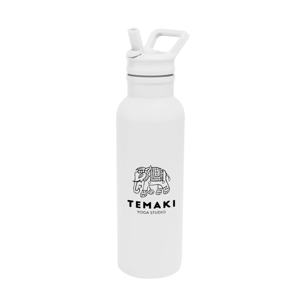 Hailey Recycled Stainless Steel Bottle, 17 oz - White - Silk Screen