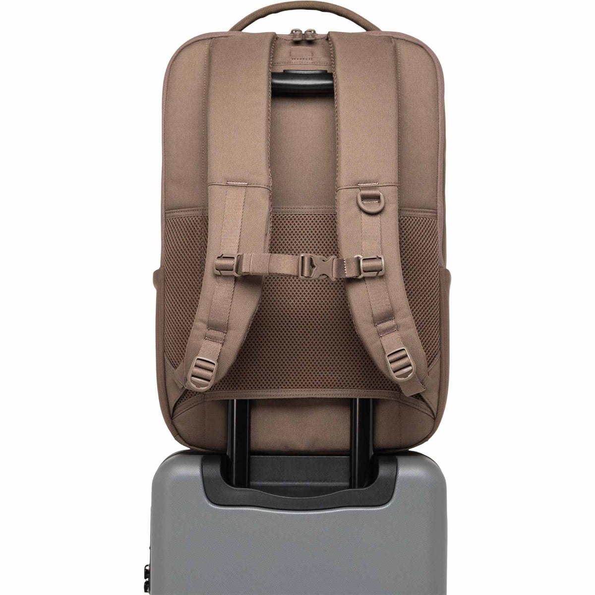 Herschel Kaslo Tech Daypack in Recycled Polyester, 16 Inch Transfer - Light Brown - Back