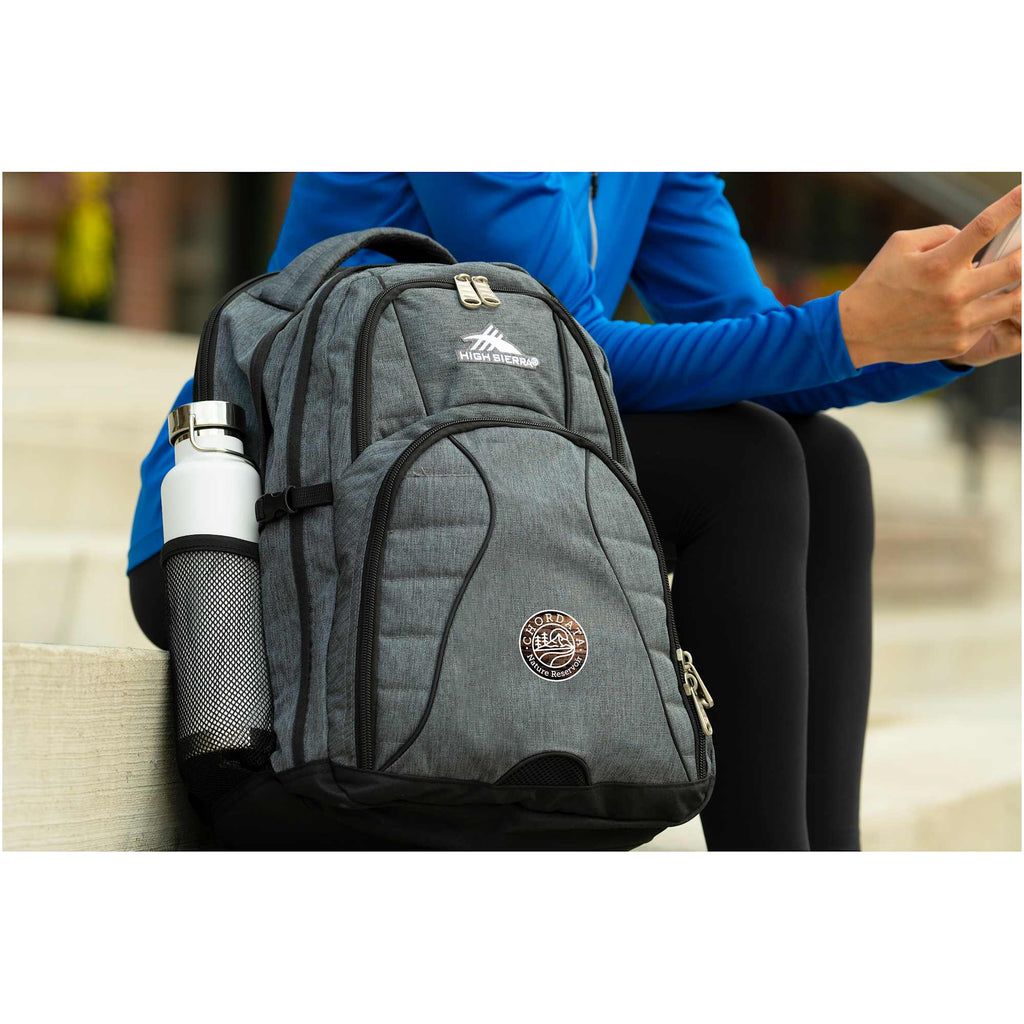 High Sierra Swerve Laptop Backpack with S-Curve Straps, 17 Inch Transfer - Graphite - On Model