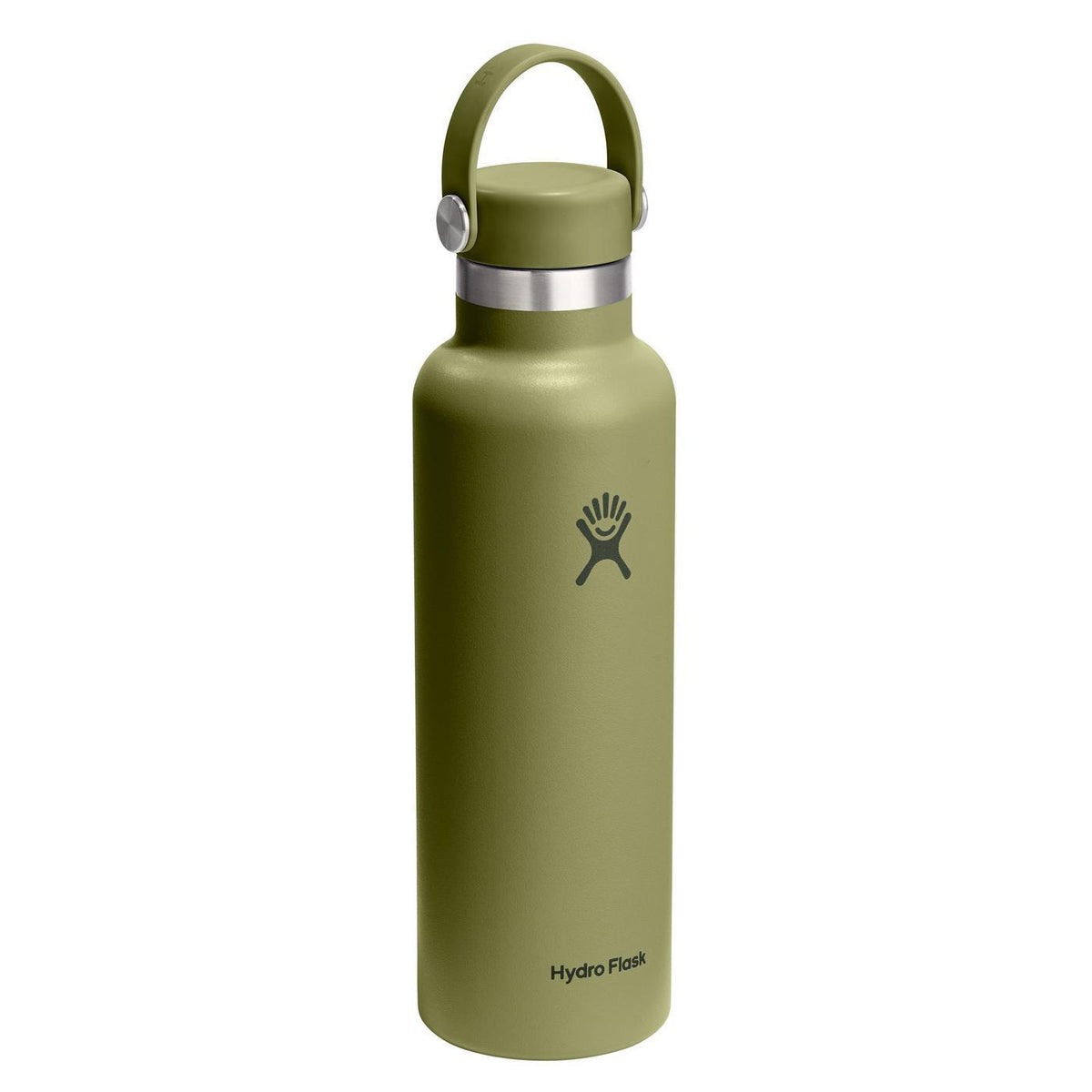Hydro Flask Standard Mouth Insulated Bottle, 21 oz Full Color - Palmer Green - View 3