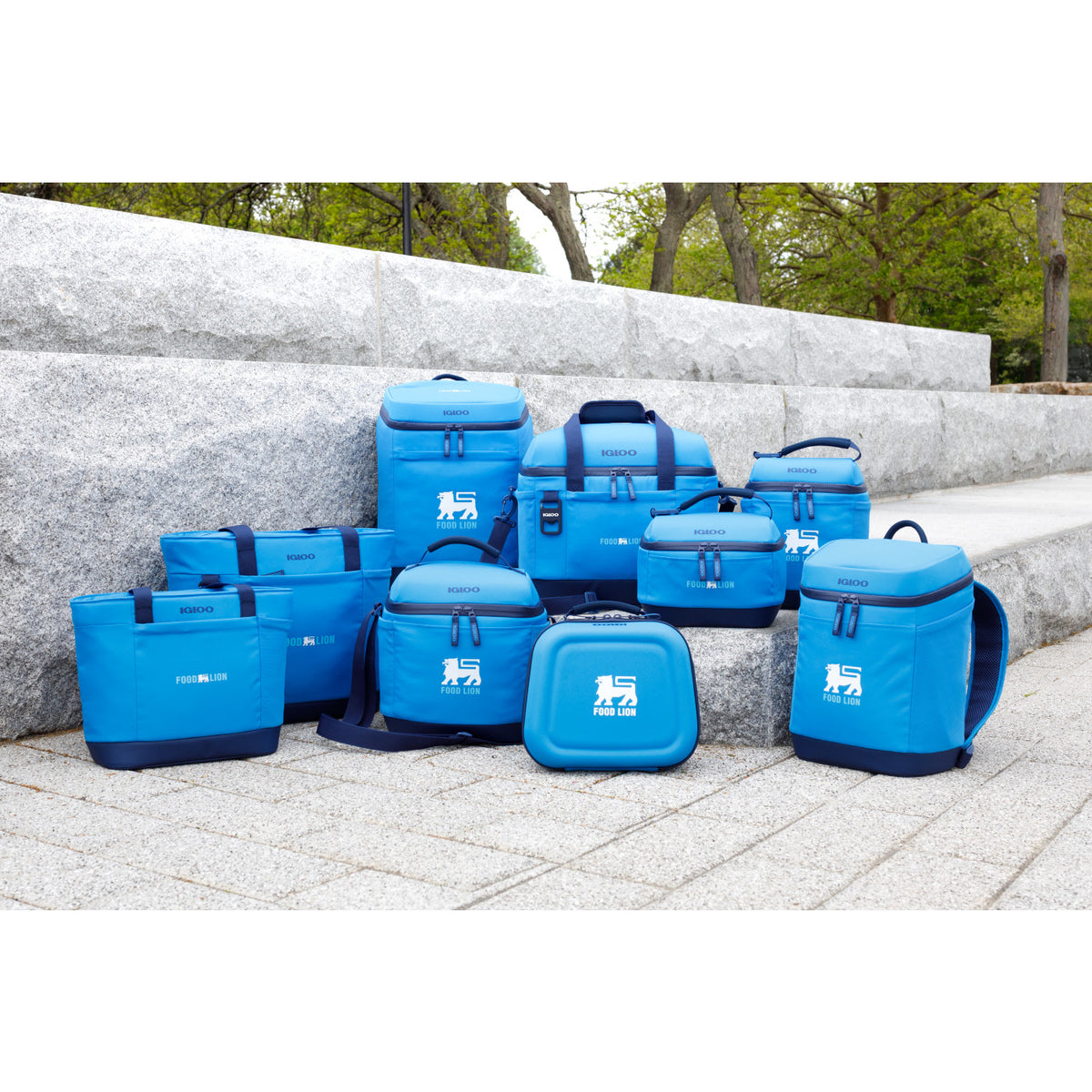 Igloo Day Chiller Recycled Molded Lunch Box Transfer - Brilliant Blue - View 5