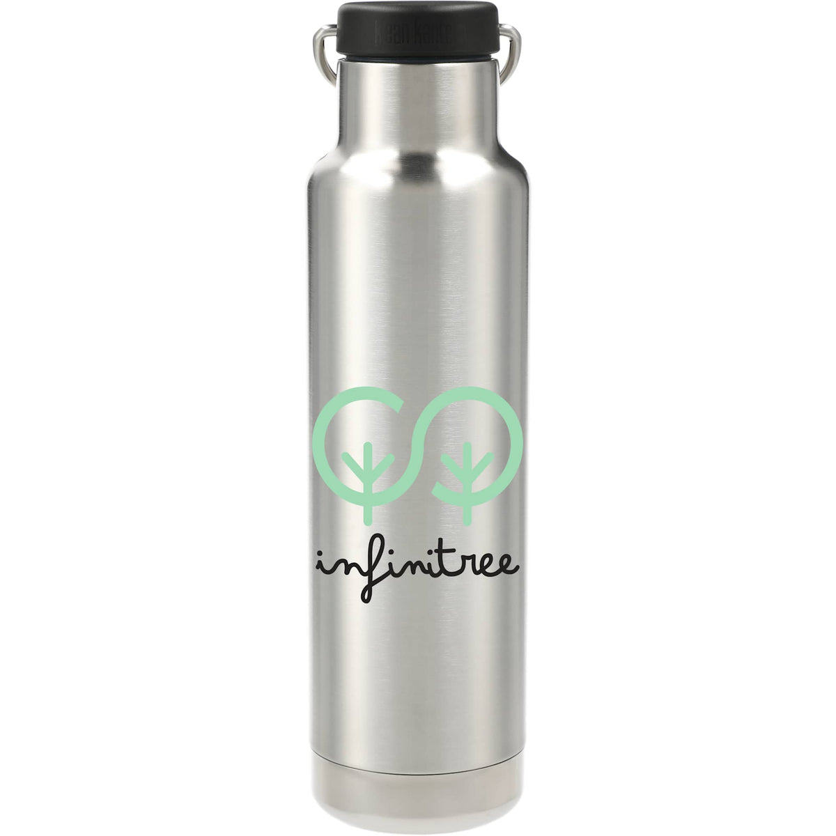 Klean Kanteen Eco Insulated Classic with Loop Cap, 20 oz - Silver - Front