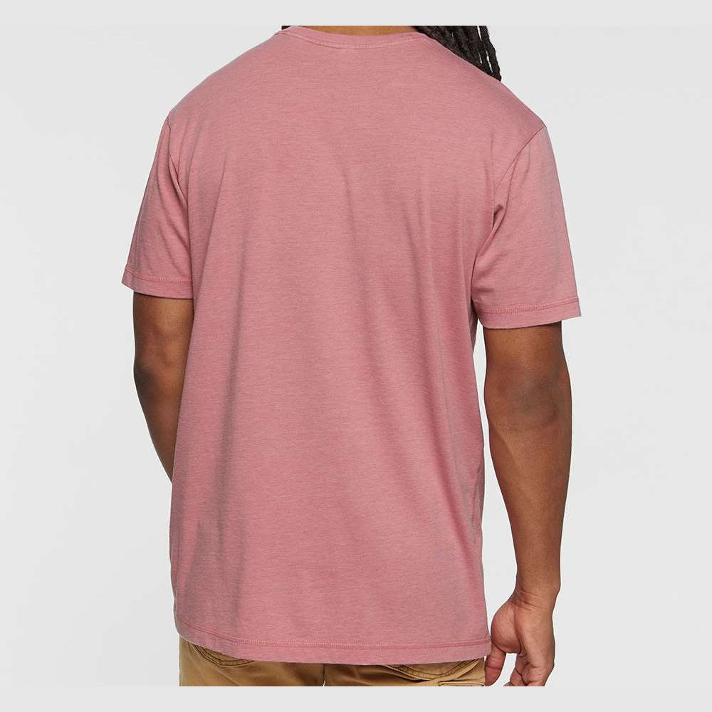 LAT Unisex Vintage Wash Tee - Washed Mauvelous - On Model Back