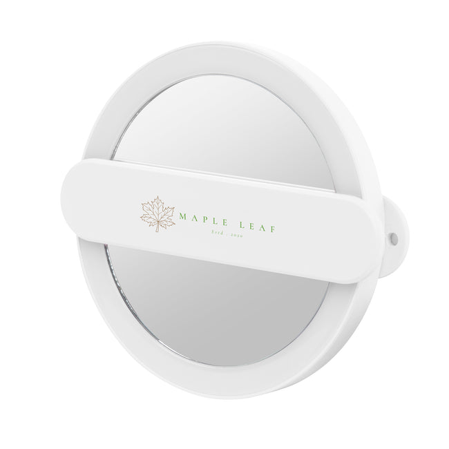 LED Mirror on a Swivel Handle