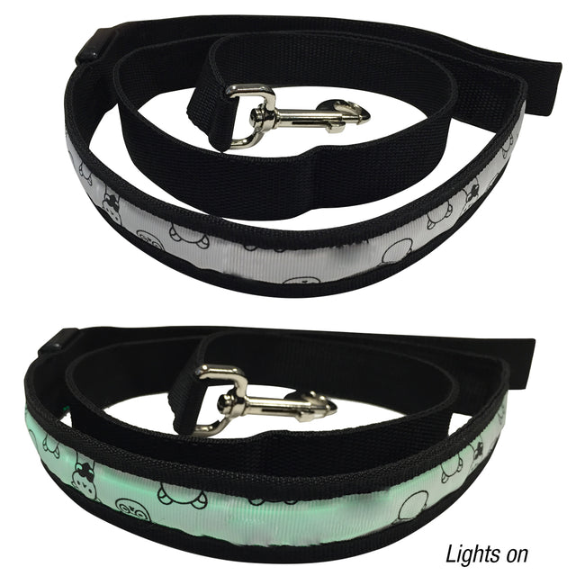 Light-Up Dog Leash, 4 Foot