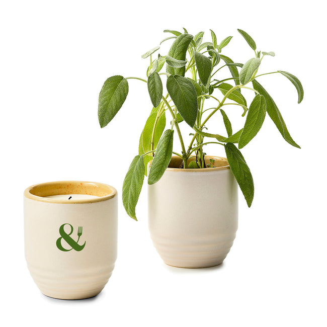 Modern Sprout Garden Vibes Soy Candle and Planter with Seeds