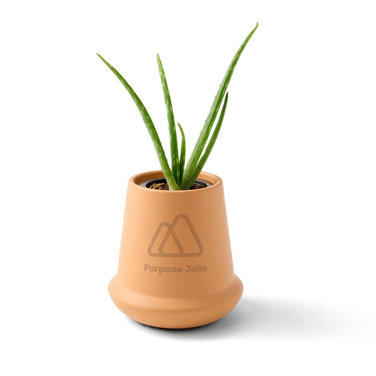 Modern Sprout Glazed Terracotta Grow Kit, Aloe Laser Engraving - Terracotta - View 1
