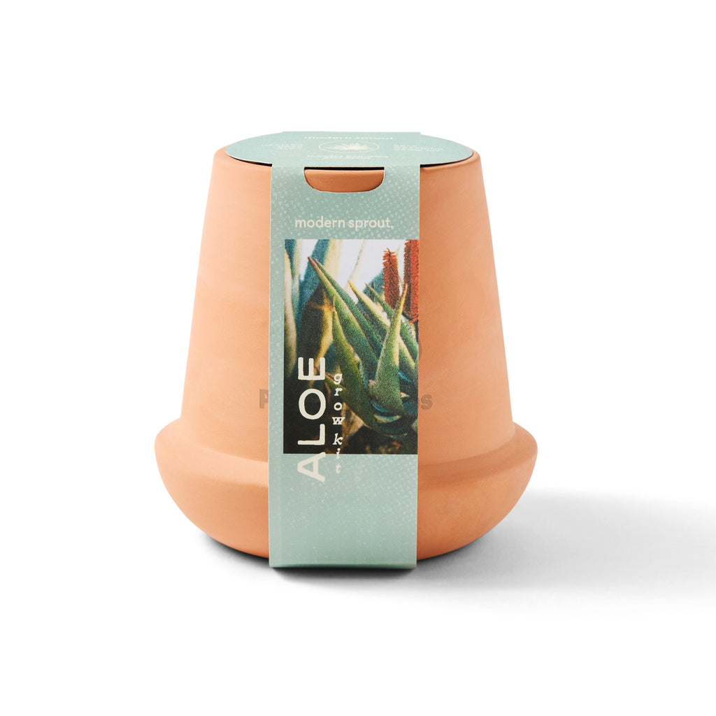 Modern Sprout Glazed Terracotta Grow Kit, Aloe Laser Engraving - Terracotta - View 4