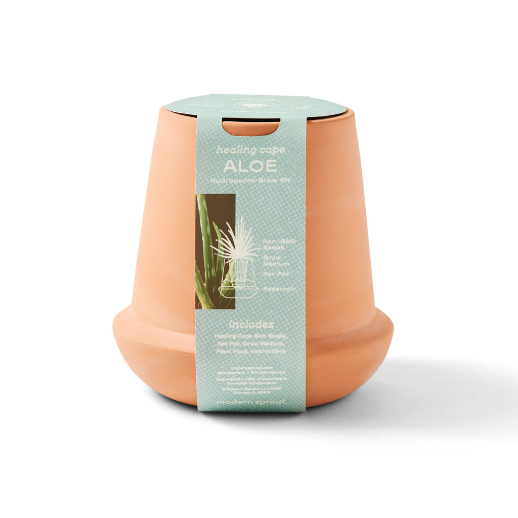 Modern Sprout Glazed Terracotta Grow Kit, Aloe Laser Engraving - Terracotta - View 5