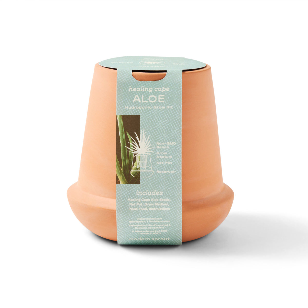 Modern Sprout Glazed Terracotta Grow Kit, Aloe Laser Engraving - Terracotta - View 5