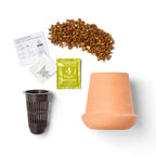 Modern Sprout Glazed Terracotta Grow Kit, Aloe Laser Engraving - Terracotta - View 6