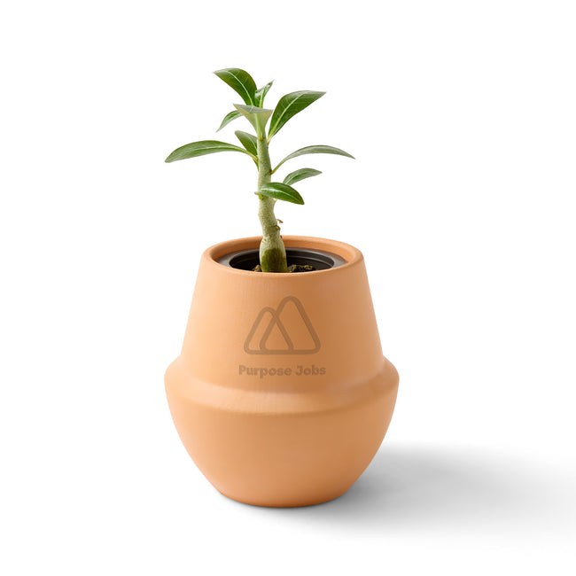 Modern Sprout Glazed Terracotta Grow Kit, Bonsai Laser Engraving
