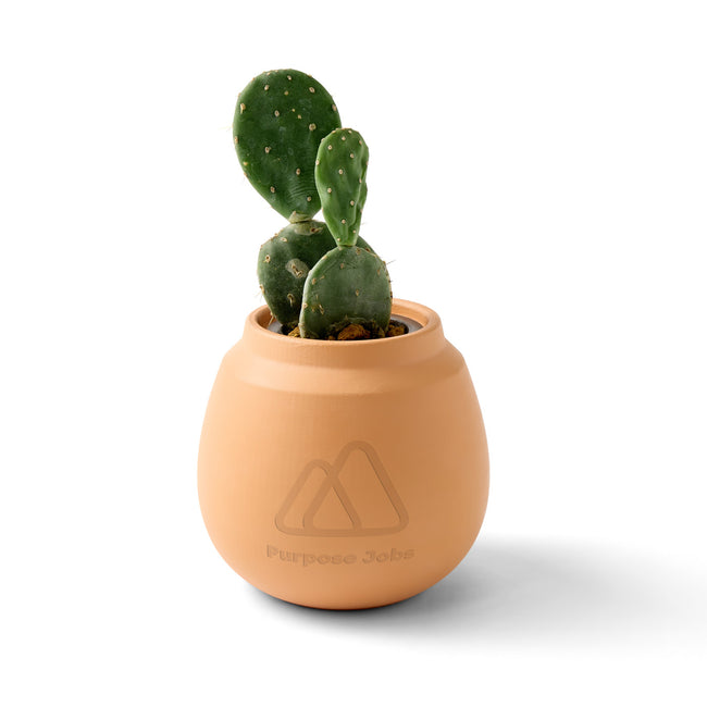 Modern Sprout Glazed Terracotta Grow Kit, Cactus Laser Engraving