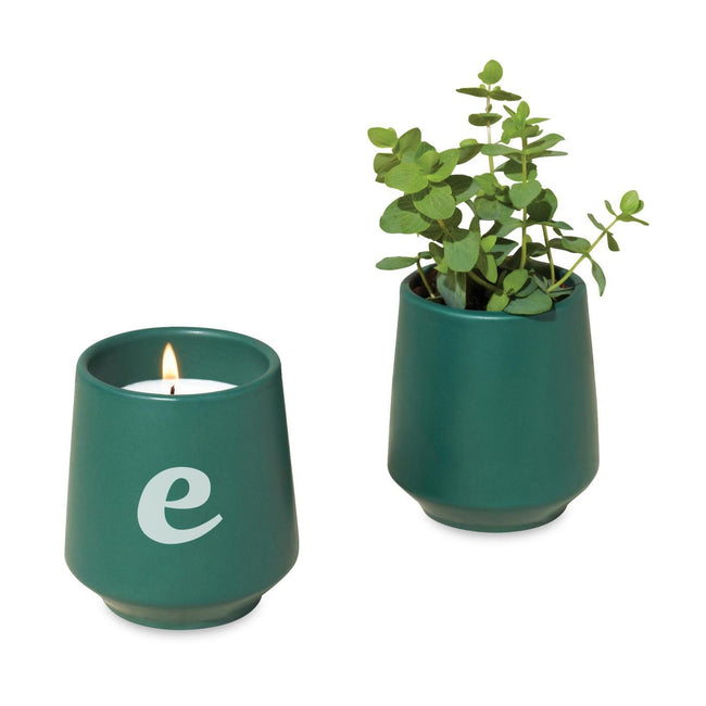 Modern Sprout Rooted Soy Candle with Seed Packet