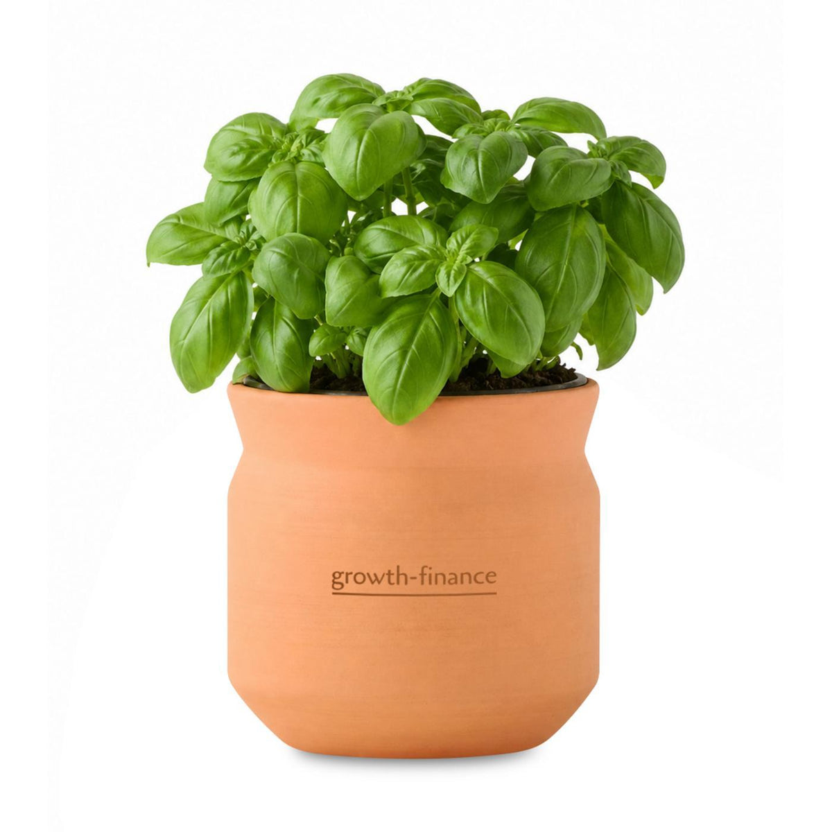 Modern Sprout Tiny Terracotta Grow Kit, Big Congrats Laser Engraving - Terracotta - View 1